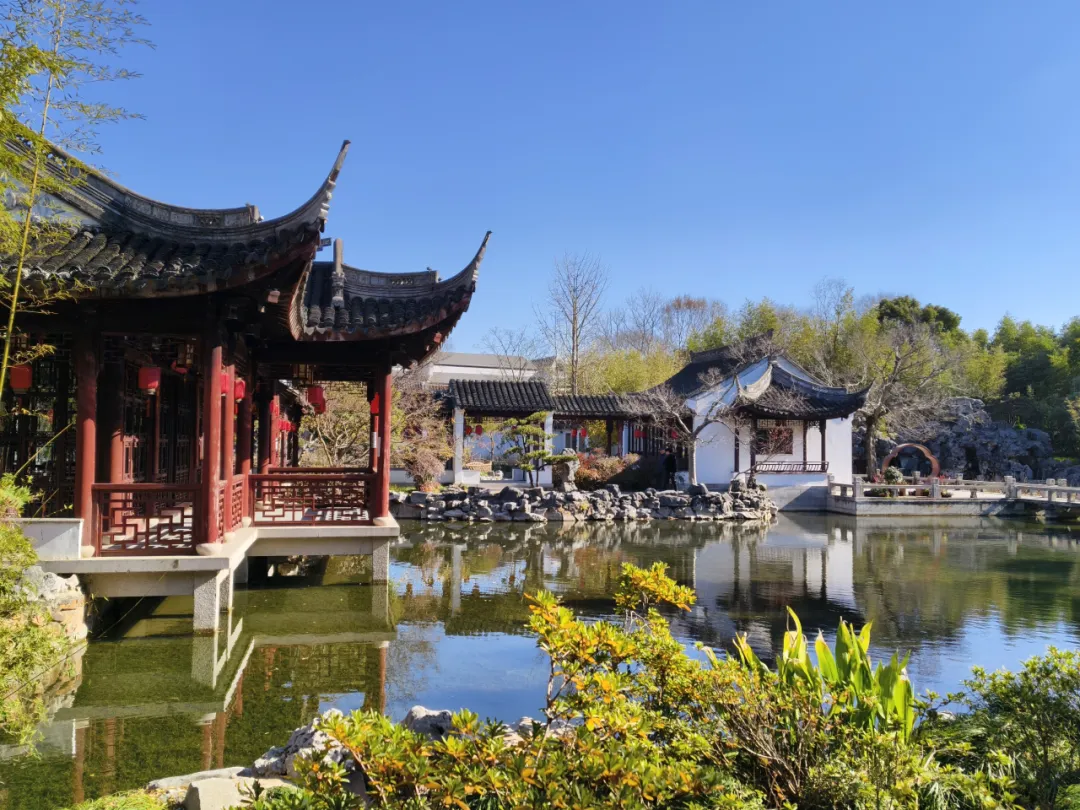 图片 5.png 图片 5.png